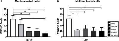 Chronic Exposure of Gingival Fibroblasts to TLR2 or TLR4 Agonist Inhibits Osteoclastogenesis but Does Not Affect Osteogenesis